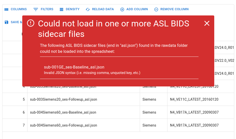 BIDSDG_Loading_JSONCorruptExample